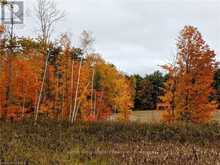 CHRY061 - 1235 VILLIERS LINE | Otonabee-South Monaghan Ontario | Slide Image Twenty