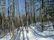 3608 BELL LINE RD | Central Frontenac Ontario | Slide Image Twelve