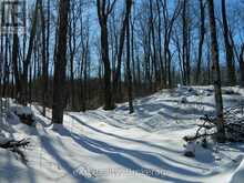 3608 BELL LINE RD | Central Frontenac Ontario | Slide Image Two