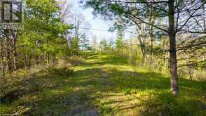 PT LT 2 CREEK CROSSING Lane | Westport Ontario | Slide Image Two