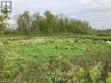 PT LT 44 9TH CONCESSION ROAD | Stone Mills Ontario | Slide Image Four