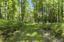 LOT 11,12, 14, 15 THUNDER LANE | Central Frontenac Ontario | Slide Image Twenty