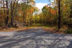 PT LOTS 12 & 13 DEVIL LAKE ROAD | South Frontenac Ontario | Slide Image One