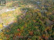 PT LOTS 12 & 13 DEVIL LAKE ROAD | South Frontenac Ontario | Slide Image Thirty-two