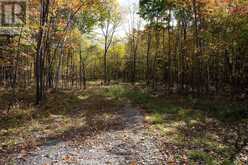 PT LOTS 12 & 13 DEVIL LAKE ROAD | South Frontenac Ontario | Slide Image Fourteen