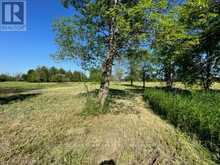 PT LT 14 LITTLE CREEK ROAD | Napanee Ontario | Slide Image Eighteen