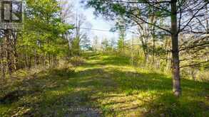 PT LT 2 CREEK CROSSING LANE | Westport Ontario | Slide Image Two