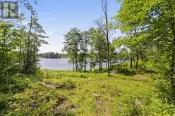 LOT11 12,14,15, 0 THUNDER LANE | Central Frontenac Ontario | Slide Image Nine