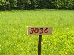 3036 JOHN MARTIN ROAD South Frontenac Ontario, K0H 1W0