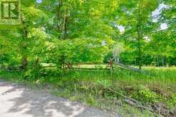 LOT 24 LEE ROAD | Westport Ontario | Slide Image One