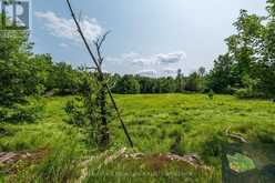 LOT 11 RITZ ROAD | Rideau Lakes Ontario | Slide Image Nineteen