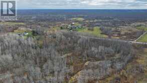 LOT 2 COUNTY ROAD 14 | Stone Mills Ontario | Slide Image Twelve