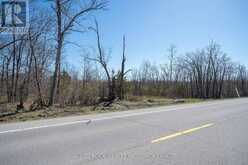 PT LT 3 COUNTY RD 6 ROAD | Stone Mills Ontario | Slide Image Sixteen