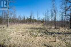 PT LT 3 COUNTY RD 6 ROAD | Stone Mills Ontario | Slide Image Twenty-two