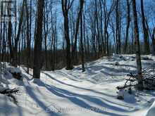 3608 BELL LINE ROAD | Central Frontenac Ontario | Slide Image Three