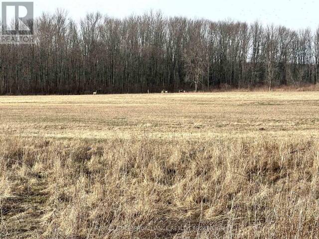 68 THIRD CONCESSION ROAD Loyalist Ontario, K0H 2S0 - Vacant Land For Sale