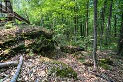 568 LYNDHURST ROAD | Leeds and the Thousand Islands Ontario | Slide Image Thirteen