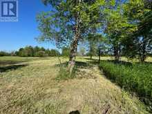 PT LT 14 LITTLE CREEK ROAD | Greater Napanee Ontario | Slide Image Thirty-seven