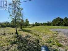 PT LT 14 LITTLE CREEK ROAD | Greater Napanee Ontario | Slide Image Six