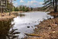 0 OLD SULPHIDE ROAD | Tweed Ontario | Slide Image Fourteen