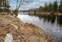 0 OLD SULPHIDE ROAD | Tweed Ontario | Slide Image Sixteen