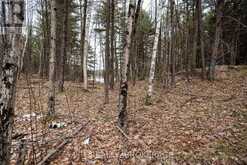 0 OLD SULPHIDE ROAD | Tweed Ontario | Slide Image Twenty-five