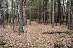 0 OLD SULPHIDE ROAD | Tweed Ontario | Slide Image Twenty-seven