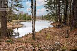 0 OLD SULPHIDE ROAD | Tweed Ontario | Slide Image Twenty-nine
