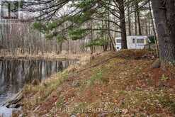 0 OLD SULPHIDE ROAD | Tweed Ontario | Slide Image Thirty-nine