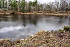 0 OLD SULPHIDE ROAD | Tweed Ontario | Slide Image Forty