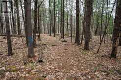 0 OLD SULPHIDE ROAD | Tweed Ontario | Slide Image Forty-four