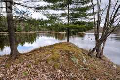 0 OLD SULPHIDE ROAD | Tweed Ontario | Slide Image Forty-six
