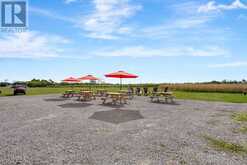 18055 LOYALIST PARKWAY | Prince Edward Ontario | Slide Image Thirty-seven