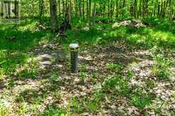 PT LTS 12 & 13 DEVIL LAKE ROAD | Westport Ontario | Slide Image Twelve