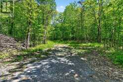 PT LTS 12 & 13 DEVIL LAKE ROAD | Westport Ontario | Slide Image One