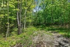 PT LTS 12 & 13 DEVIL LAKE ROAD | Westport Ontario | Slide Image Two