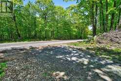 PT LTS 12 & 13 DEVIL LAKE ROAD | Westport Ontario | Slide Image Four
