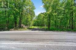 PT LTS 12 & 13 DEVIL LAKE ROAD | Westport Ontario | Slide Image Five