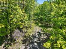 PT LTS 12 & 13 DEVIL LAKE ROAD | Westport Ontario | Slide Image Six