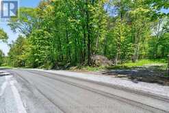 PT LTS 12 & 13 DEVIL LAKE ROAD | Westport Ontario | Slide Image Three