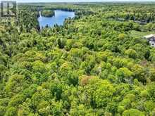 PT LTS 12 & 13 DEVIL LAKE ROAD | Westport Ontario | Slide Image Nine