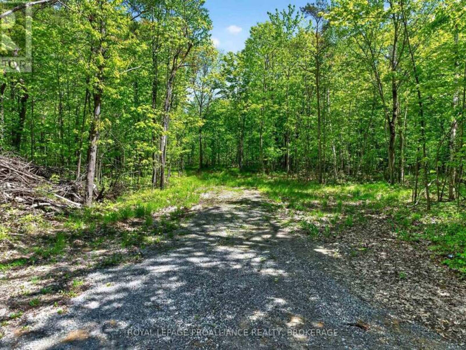PT LTS 12 & 13 DEVIL LAKE ROAD, Westport, Ontario K0G 1X0