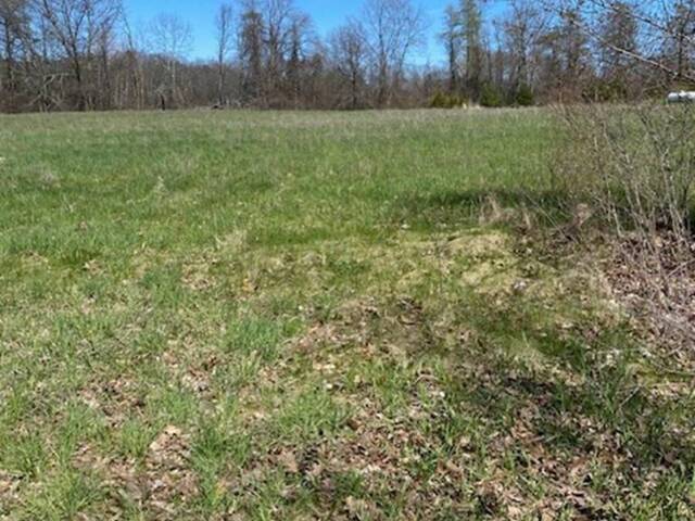 15 YOUNGS POINT ROAD Greater Napanee Ontario, K0K 1G0 - Vacant Land For Sale