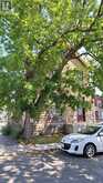 45 CHESTNUT STREET | Kingston Ontario | Slide Image Two