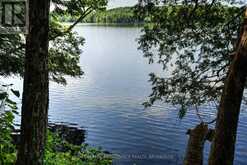 142 PADDY'S LANE | Westport Ontario | Slide Image Fifty