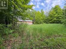 LOT 3 JAMIESON ROAD | South Frontenac Ontario | Slide Image Twelve