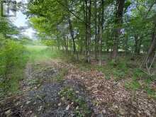 LOT 3 JAMIESON ROAD | South Frontenac Ontario | Slide Image Thirteen