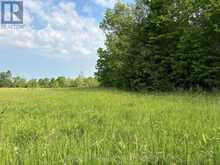 LOT 3 JAMIESON ROAD | South Frontenac Ontario | Slide Image Fifteen