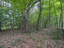 LOT 3 JAMIESON ROAD | South Frontenac Ontario | Slide Image Four