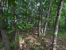 LOT 3 JAMIESON ROAD | South Frontenac Ontario | Slide Image Six